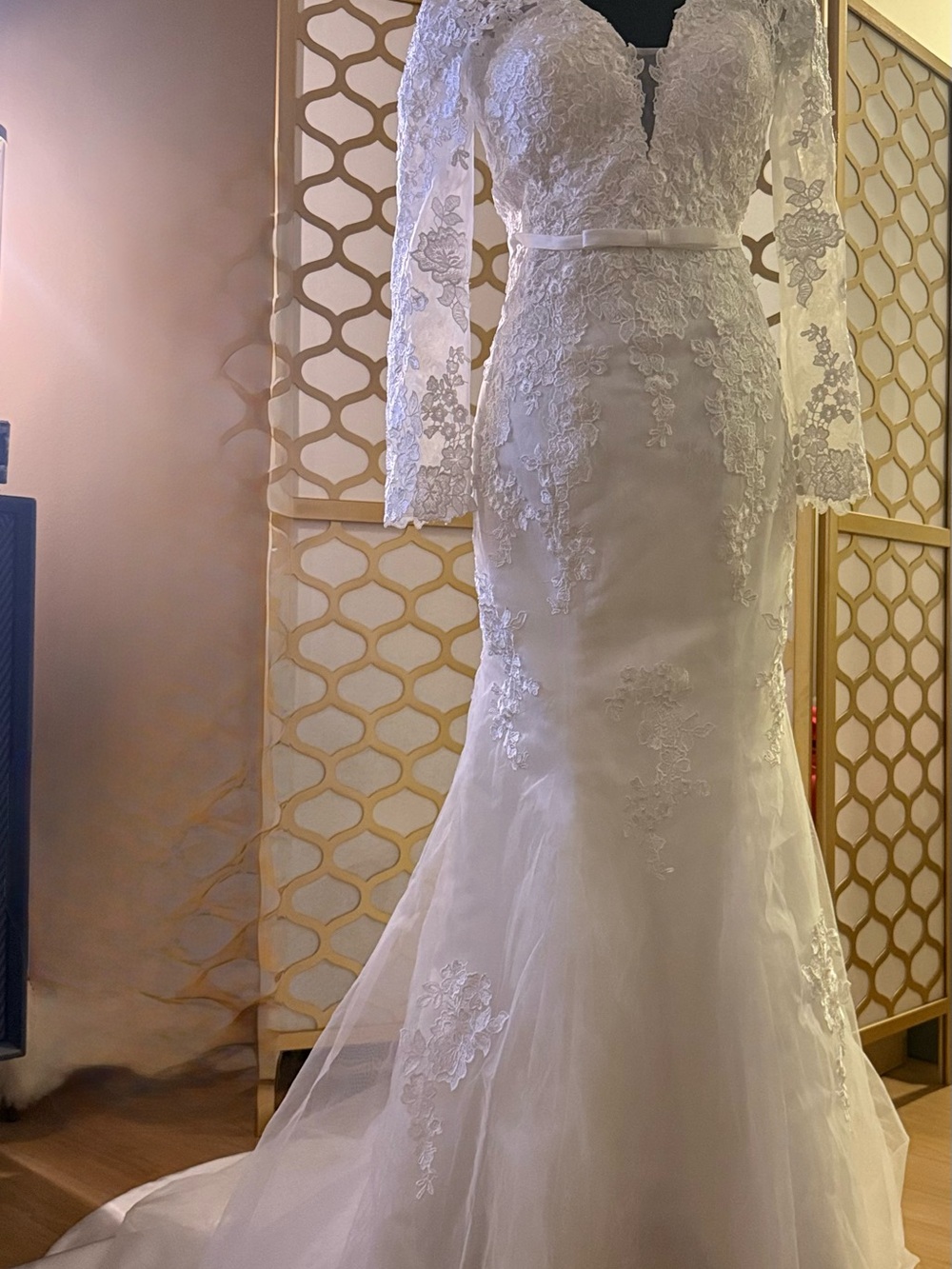 Ivory Lace Long-Sleeve Wedding Dress with Fitted Silhouette